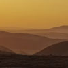 Golden Dawn.jpg. Keywords: Andy Morley;????????????????????????????????????????????????